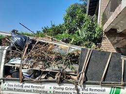 Best Furniture Removal  in Webster, SD