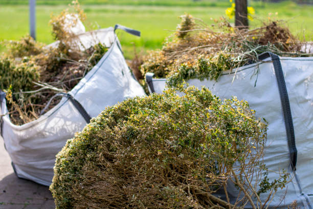 Reliable Webster, SD Junk Removal Services Solutions